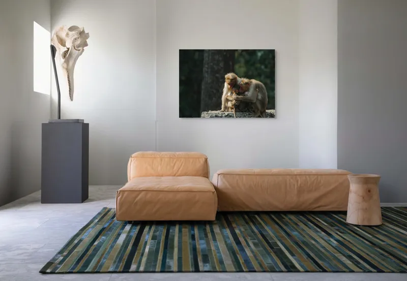 Tablou Canvas, "Familie de maimuțe în natură", Afectiune, Compasiune, Naturalete, Legatura, Ingrijire, Liniste, 100 x 70 cm – poza 7
