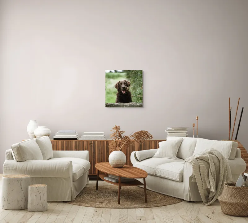 Tablou Canvas, "Câinele fericit în peisaj verde", Câine, Maro, Jucăuș, Natură, Pădure, Verdeață, Piatră, Blană, Exuberant., 50 x 50 cm – poza 7