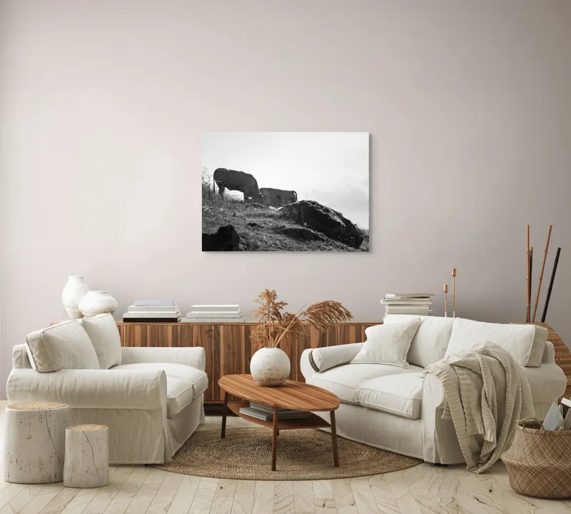 Tablou Canvas, "Vaci păscând pe coline însorite", Vaci, Peisaj, Pășune, Piatră, Cer, Natură, Siluetă, Iarbă., 100 x 70 cm – poza 3