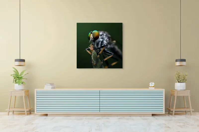 Tablou Canvas, "Dansul muștelor la amurg", Ochi, Verde, Muscă, Detalii, Natură, Macro, Insectă, Captivant., 100 x 100 cm – poza 5