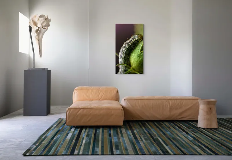 Tablou Canvas, "Omida explorând mugurii verzi ai florii", Verde, Textură, Larvă, Plantă, Detaliu, Natură, Firisos, Natură, Minunat, Gros-Plan, 50 x 90 cm – poza 5