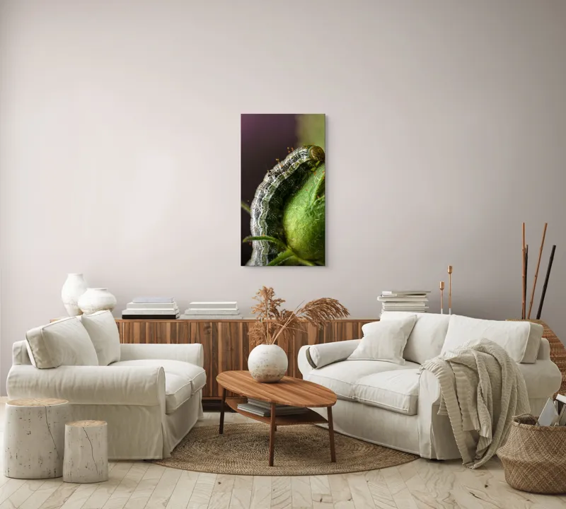 Tablou Canvas, "Omida explorând mugurii verzi ai florii", Verde, Textură, Larvă, Plantă, Detaliu, Natură, Firisos, Natură, Minunat, Gros-Plan, 50 x 90 cm – poza 7