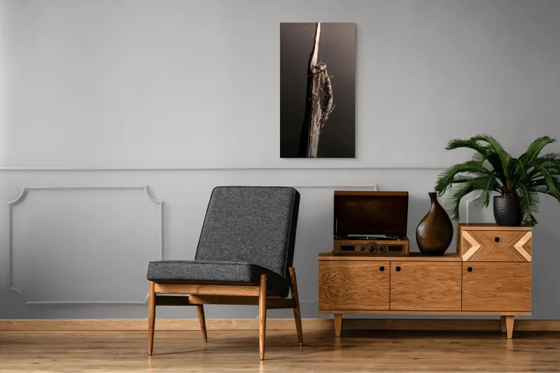 Tablou Canvas, "Mantis ascunzându-se pe tulpina uscată", Mantis, Lujit, Natură, Veveriță, Microscopic, Contrast, Delicat, Tulpină, Echilibru, Subtilitate, 50 x 90 cm – poza 8