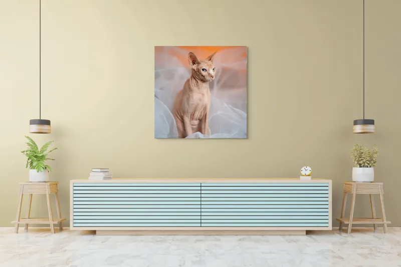 Tablou Canvas, "Prințul regal fără blană în voaluri", Pisică, Fără Blană, Ochi Albaştri, Urechi Ascuţite, Fundal Portocaliu, Textură Delicată, Poziţie Dignă, Privire Intensă, 100 x 100 cm – poza 5