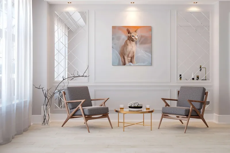 Tablou Canvas, "Prințul regal fără blană în voaluri", Pisică, Fără Blană, Ochi Albaştri, Urechi Ascuţite, Fundal Portocaliu, Textură Delicată, Poziţie Dignă, Privire Intensă, 100 x 100 cm – poza 7