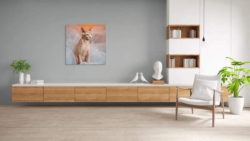 Tablou Canvas, "Prințul regal fără blană în voaluri", Pisică, Fără Blană, Ochi Albaştri, Urechi Ascuţite, Fundal Portocaliu, Textură Delicată, Poziţie Dignă, Privire Intensă, 100 x 100 cm – poza 8