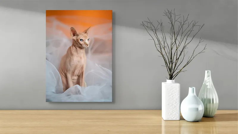 Tablou Canvas, "Prințul regal fără blană în voaluri", Pisică, Fără Blană, Ochi Albaştri, Urechi Ascuţite, Fundal Portocaliu, Textură Delicată, Poziţie Dignă, Privire Intensă, 39 x 54 cm – poza 4