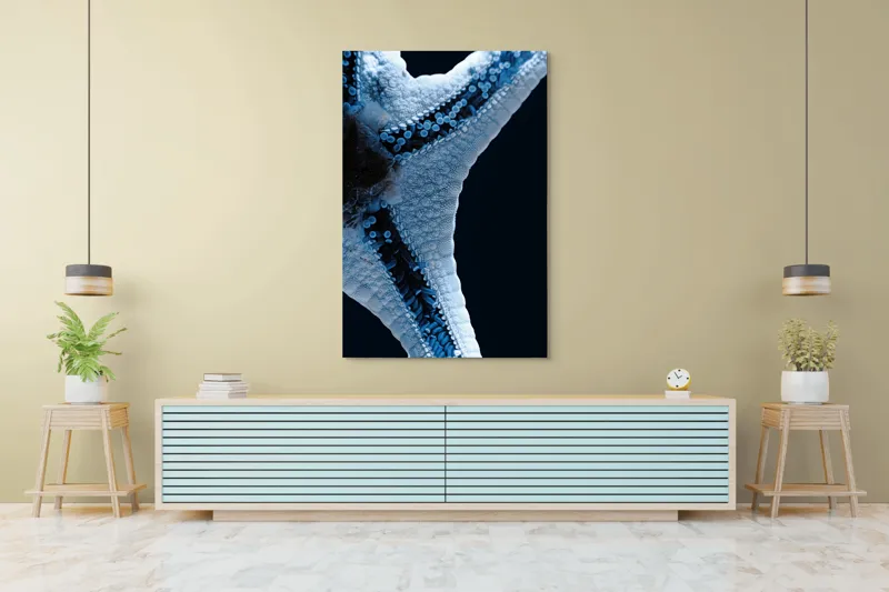 Tablou Canvas, "Steaua de mare albăstruie strălucitoare", Albastru, Textură, Stea, Marin, Detaliu, Ocean, Contrast, Natură, 100 x 150 cm – poza 4