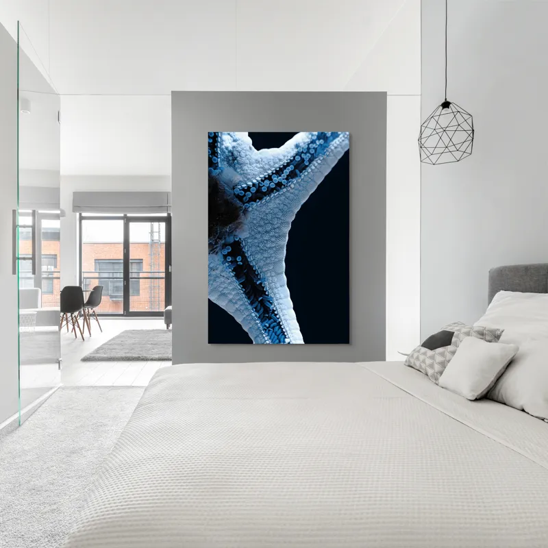 Tablou Canvas, "Steaua de mare albăstruie strălucitoare", Albastru, Textură, Stea, Marin, Detaliu, Ocean, Contrast, Natură, 100 x 150 cm – poza 5