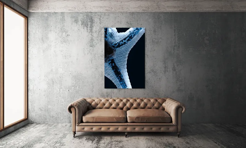 Tablou Canvas, "Steaua de mare albăstruie strălucitoare", Albastru, Textură, Stea, Marin, Detaliu, Ocean, Contrast, Natură, 100 x 150 cm – poza 6