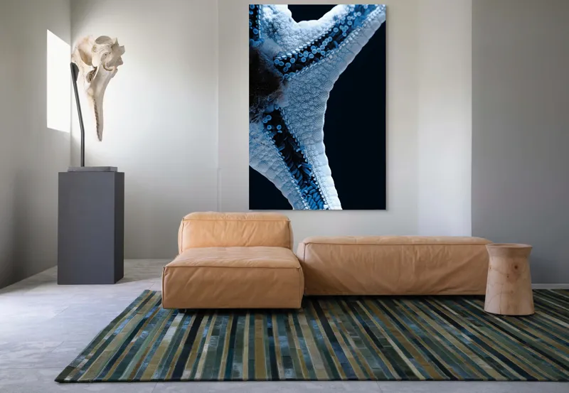 Tablou Canvas, "Steaua de mare albăstruie strălucitoare", Albastru, Textură, Stea, Marin, Detaliu, Ocean, Contrast, Natură, 100 x 150 cm – poza 7