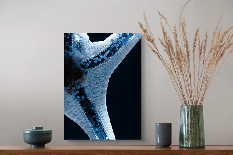 Tablou Canvas, "Steaua de mare albăstruie strălucitoare", Albastru, Textură, Stea, Marin, Detaliu, Ocean, Contrast, Natură, 39 x 54 cm – poza 3