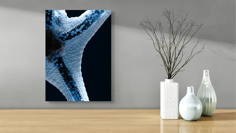 Tablou Canvas, "Steaua de mare albăstruie strălucitoare", Albastru, Textură, Stea, Marin, Detaliu, Ocean, Contrast, Natură, 39 x 54 cm – poza 4