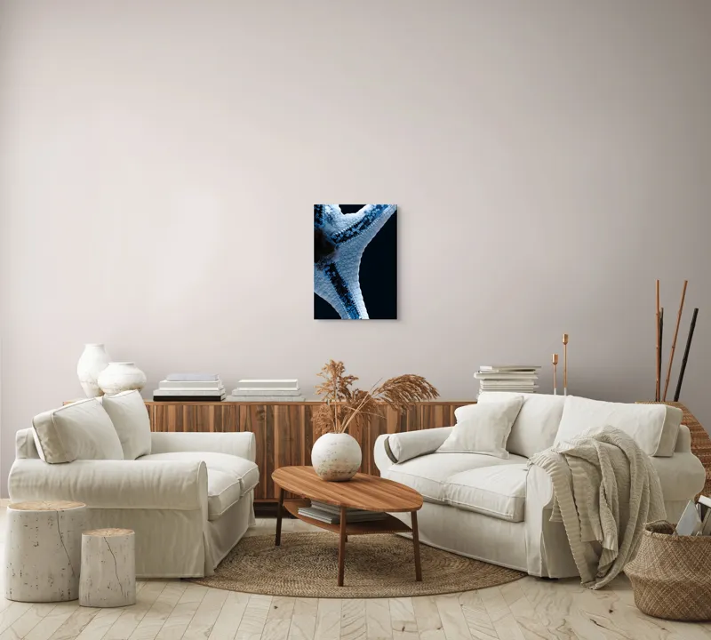 Tablou Canvas, "Steaua de mare albăstruie strălucitoare", Albastru, Textură, Stea, Marin, Detaliu, Ocean, Contrast, Natură, 39 x 54 cm – poza 5