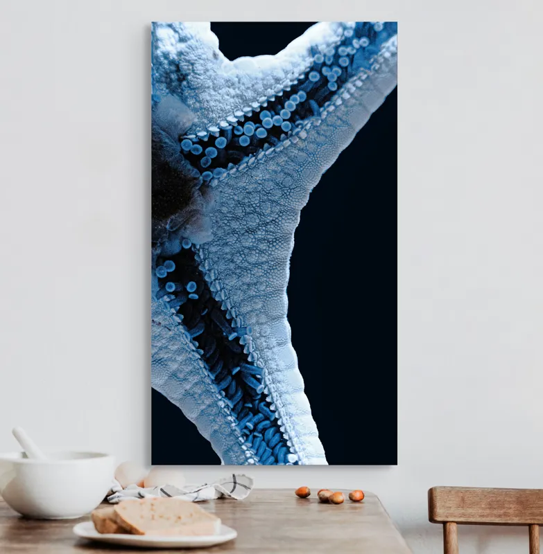 Tablou Canvas, "Steaua de mare albăstruie strălucitoare", Albastru, Textură, Stea, Marin, Detaliu, Ocean, Contrast, Natură, 50 x 90 cm – poza 3