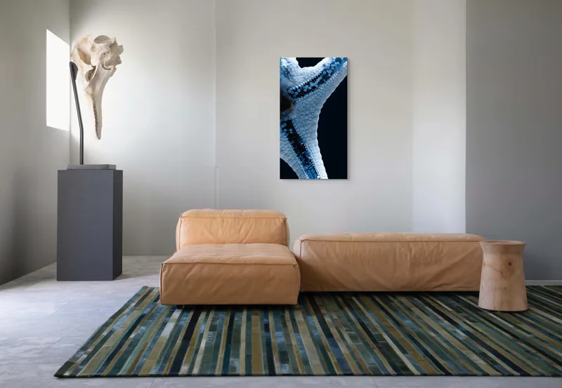 Tablou Canvas, "Steaua de mare albăstruie strălucitoare", Albastru, Textură, Stea, Marin, Detaliu, Ocean, Contrast, Natură, 50 x 90 cm – poza 5