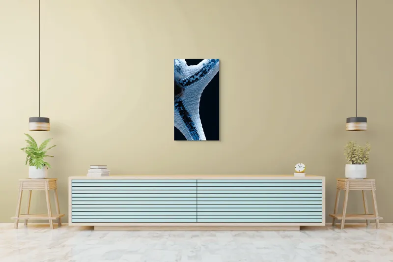 Tablou Canvas, "Steaua de mare albăstruie strălucitoare", Albastru, Textură, Stea, Marin, Detaliu, Ocean, Contrast, Natură, 50 x 90 cm – poza 6