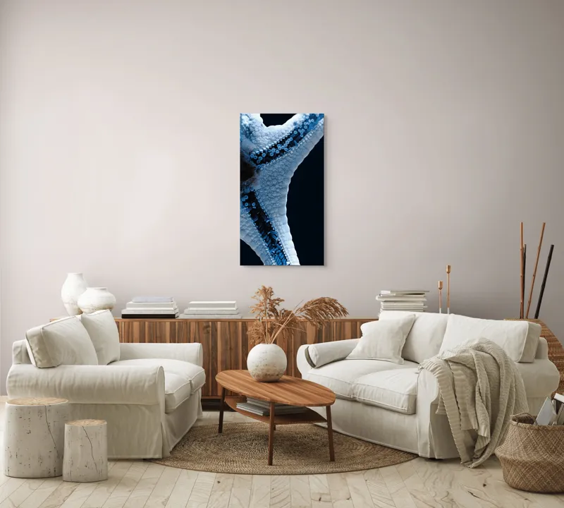 Tablou Canvas, "Steaua de mare albăstruie strălucitoare", Albastru, Textură, Stea, Marin, Detaliu, Ocean, Contrast, Natură, 50 x 90 cm – poza 7