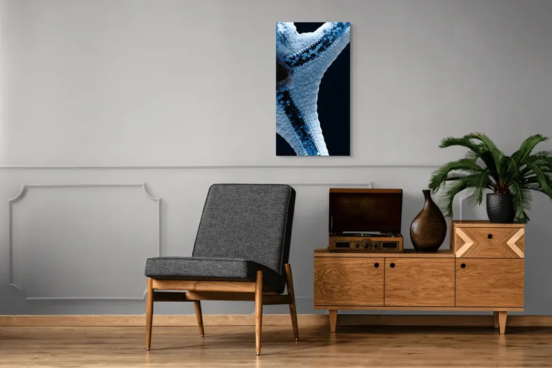 Tablou Canvas, "Steaua de mare albăstruie strălucitoare", Albastru, Textură, Stea, Marin, Detaliu, Ocean, Contrast, Natură, 50 x 90 cm – poza 8