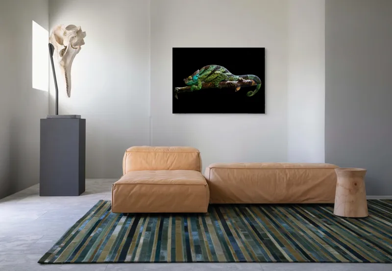 Tablou Canvas, "Cameleonul pe creanga noaptea", Cameleon, Lemn, Negru, Lumină, Culori, Textură, Natură, Artă, Contrast, Detaliu, 100 x 70 cm – poza 7