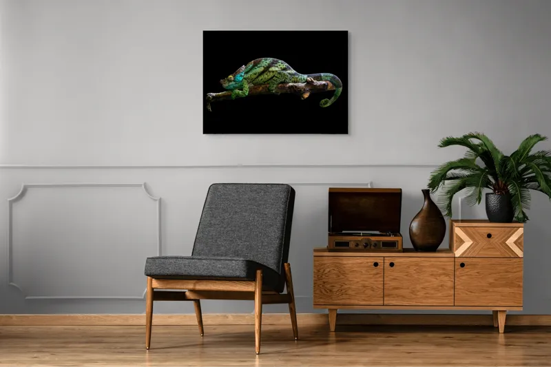 Tablou Canvas, "Cameleonul pe creanga noaptea", Cameleon, Lemn, Negru, Lumină, Culori, Textură, Natură, Artă, Contrast, Detaliu, 100 x 70 cm – poza 8