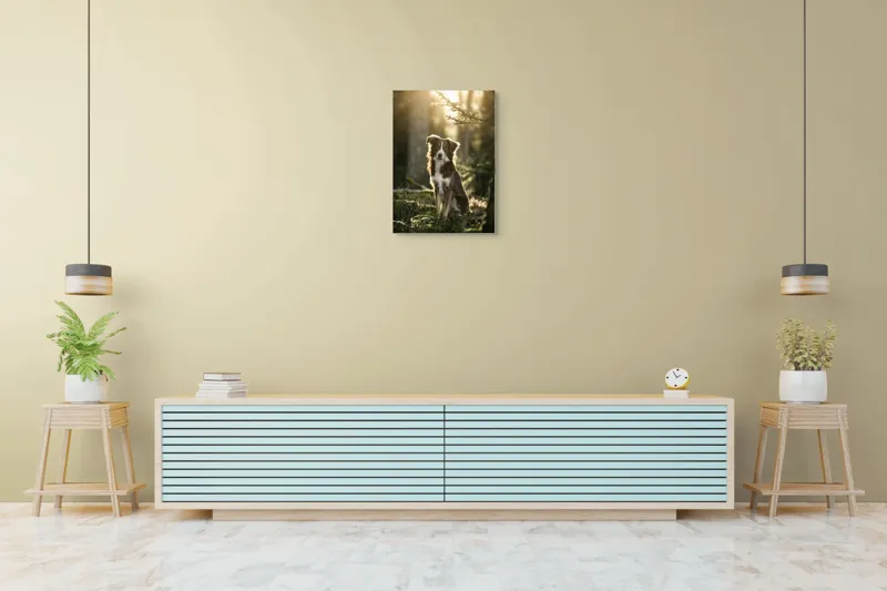 Tablou Canvas, "Lumina dimineții în pădurea tainică", Câine, Pădure, Lumină, Blană, Peisaj, Privire, Natură, Relaxare, 50 x 70 cm – poza 6