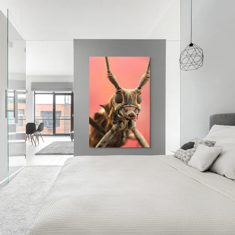Tablou Canvas, "Gărgăriță pe fundal roșu vibrant", Antene, Ochi, Textură, Detalii, Fundal, Colorat, Insectă, Prim-plan, 100 x 150 cm – poza 5