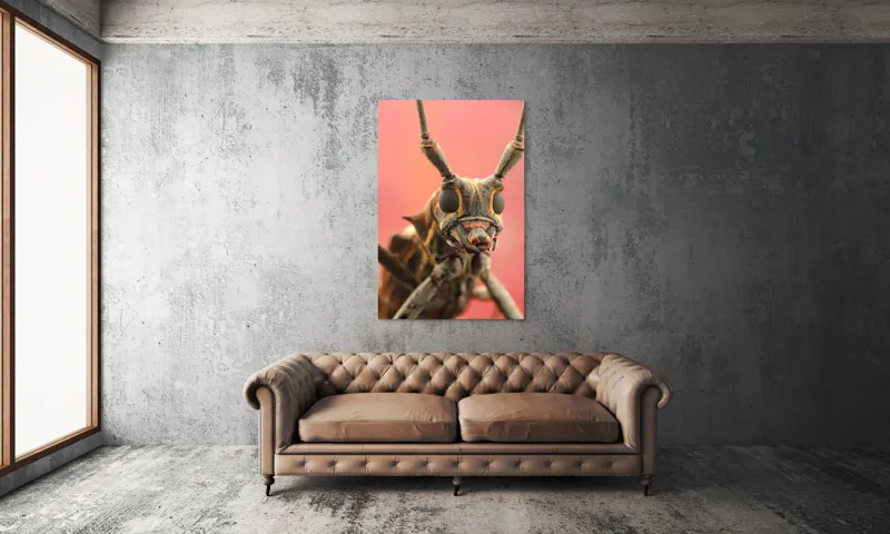 Tablou Canvas, "Gărgăriță pe fundal roșu vibrant", Antene, Ochi, Textură, Detalii, Fundal, Colorat, Insectă, Prim-plan, 100 x 150 cm – poza 6