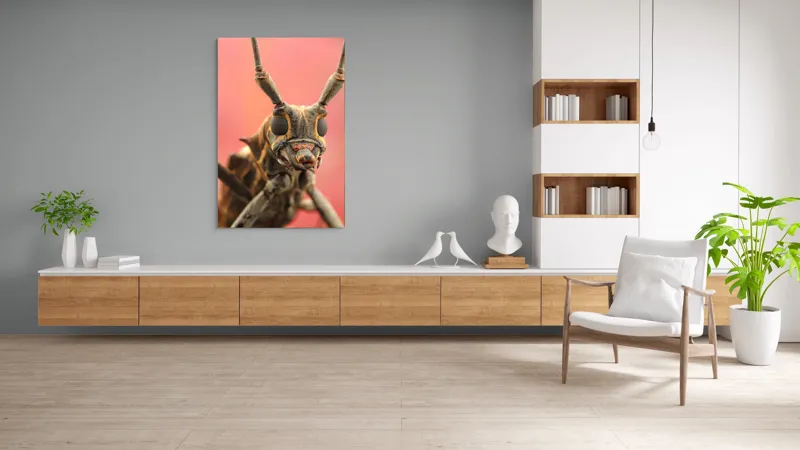 Tablou Canvas, "Gărgăriță pe fundal roșu vibrant", Antene, Ochi, Textură, Detalii, Fundal, Colorat, Insectă, Prim-plan, 100 x 150 cm – poza 8