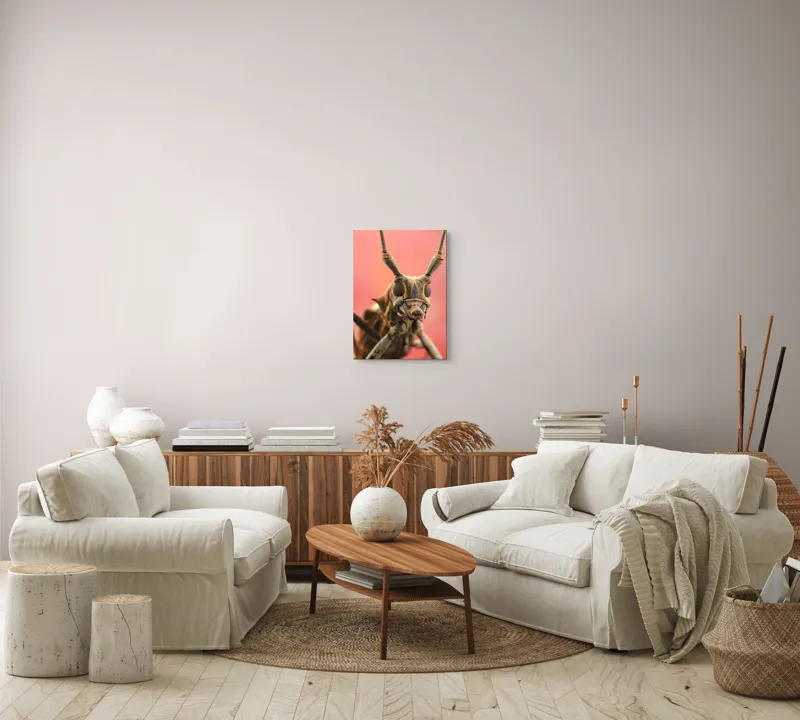 Tablou Canvas, "Gărgăriță pe fundal roșu vibrant", Antene, Ochi, Textură, Detalii, Fundal, Colorat, Insectă, Prim-plan, 39 x 54 cm – poza 5
