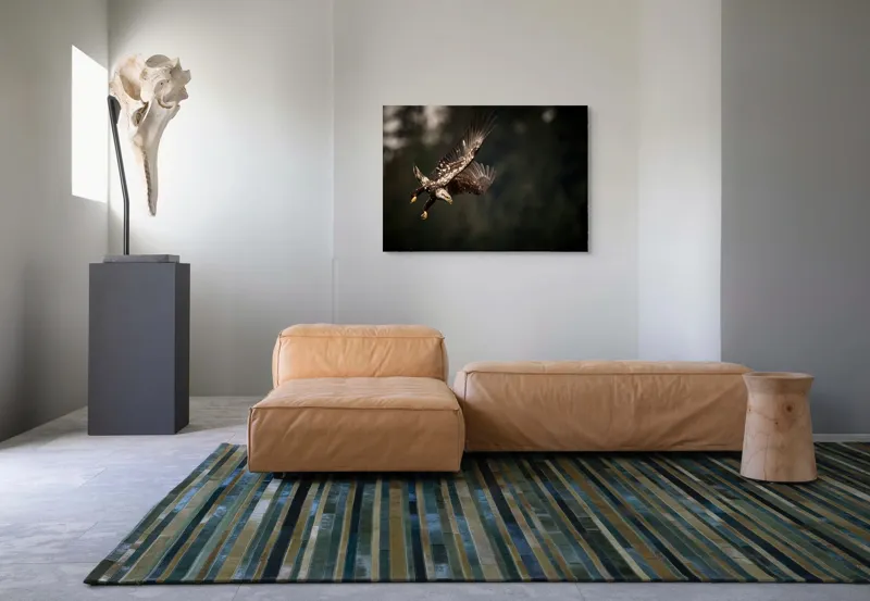 Tablou Canvas, "Vulturul în zbor spre prada sa", Majestic, Powerful, Focused, Graceful, Wild, 100 x 70 cm – poza 7