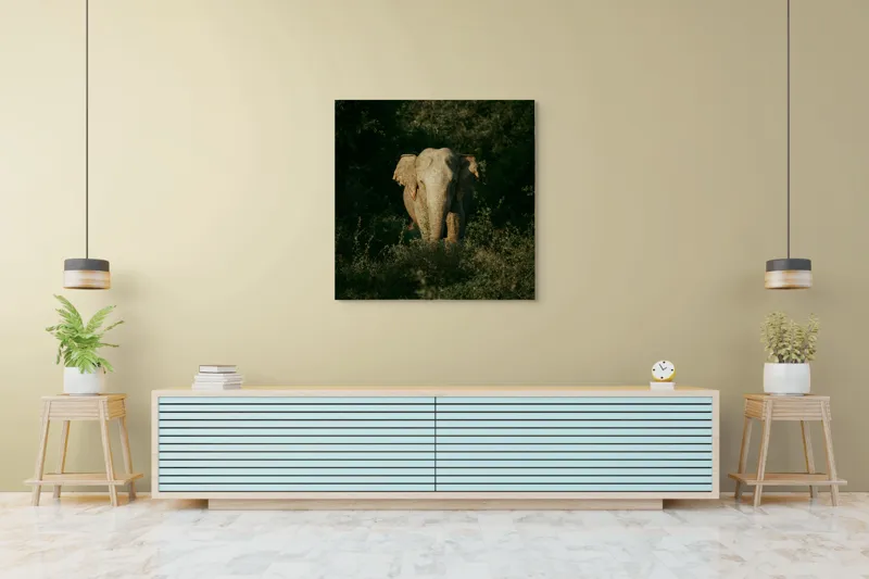 Tablou Canvas, "Elefant singuratic în pădurea deasă", 100 x 100 cm – poza 5