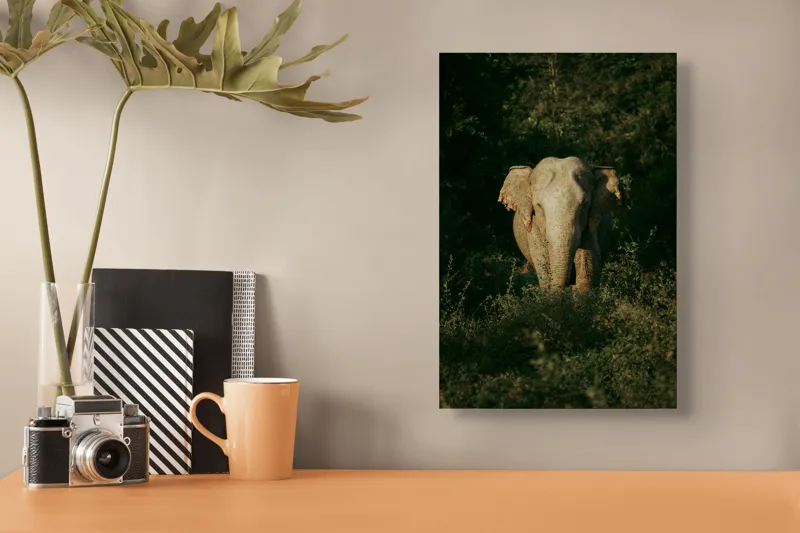 Tablou Canvas, "Elefant singuratic în pădurea deasă", 26 x 39 cm – poza 3