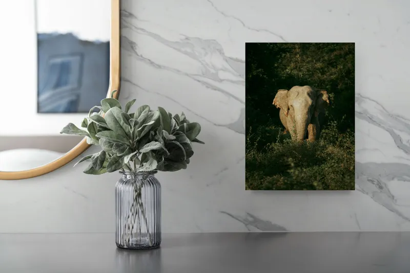 Tablou Canvas, "Elefant singuratic în pădurea deasă", 26 x 39 cm – poza 4