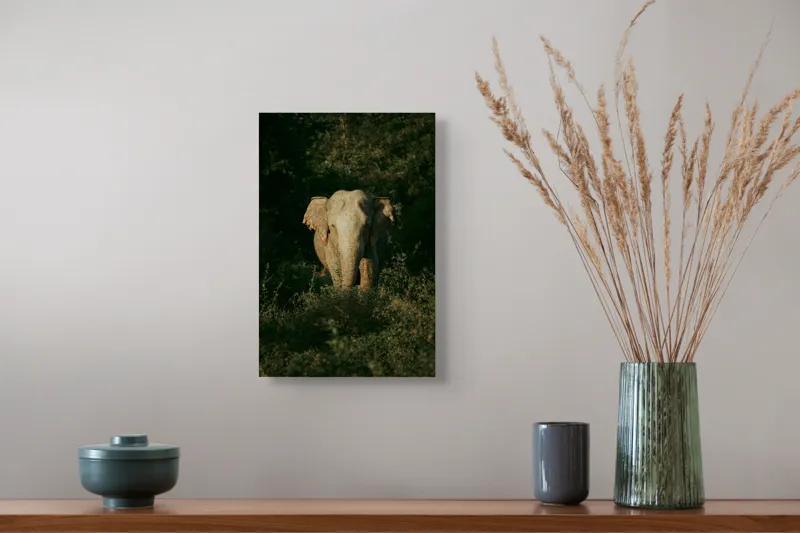 Tablou Canvas, "Elefant singuratic în pădurea deasă", 26 x 39 cm – poza 5
