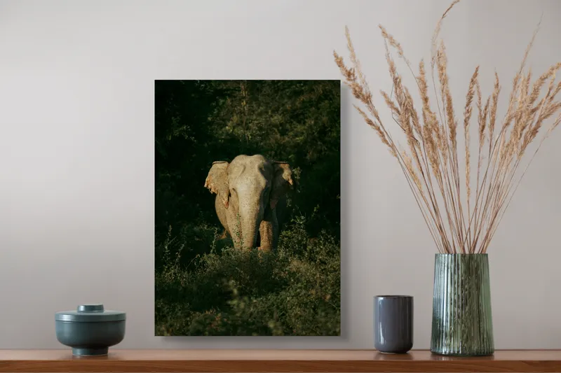 Tablou Canvas, "Elefant singuratic în pădurea deasă", 39 x 54 cm – poza 3