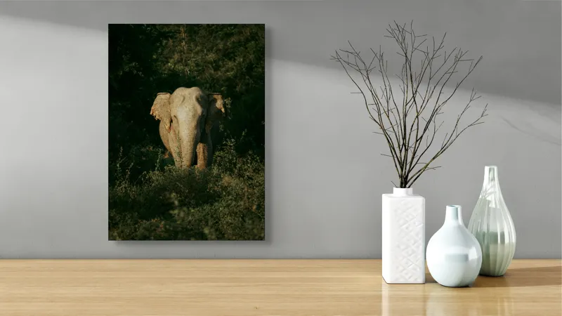Tablou Canvas, "Elefant singuratic în pădurea deasă", 39 x 54 cm – poza 4