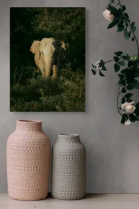 Tablou Canvas, "Elefant singuratic în pădurea deasă", 39 x 54 cm – poza 6