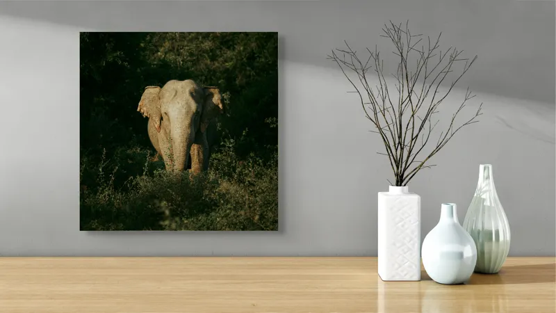 Tablou Canvas, "Elefant singuratic în pădurea deasă", 50 x 50 cm – poza 3