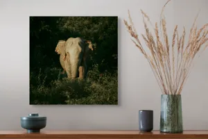 Tablou Canvas, "Elefant singuratic în pădurea deasă", 50 x 50 cm – poza 4