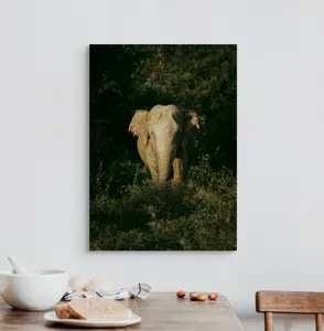 Tablou Canvas, "Elefant singuratic în pădurea deasă", 50 x 70 cm – poza 3