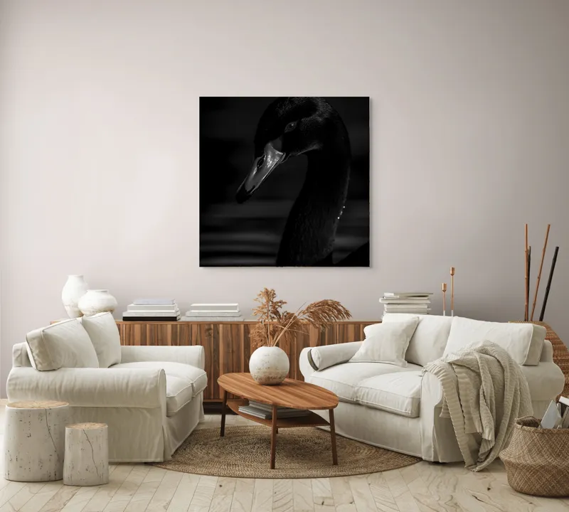 Tablou Canvas, "Eleganța lebedei negre în noapte", Negru, Lebădă, Reflecție, Apă, Umbre, Eleganță, Lumină, Siluetă, 100 x 100 cm – poza 3