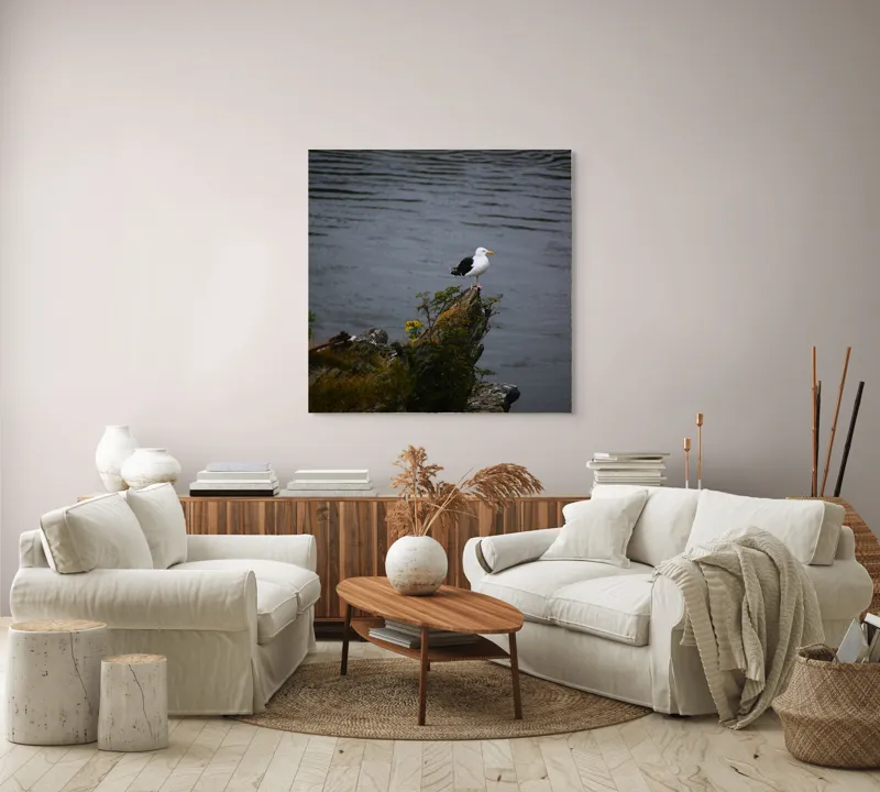 Tablou Canvas, "Pescăruș singuratic pe stânca solitară", Pescăruș, Stâncă, Apă, Vegetație, Solitudine, Natură, Seninătate, Reflecție., 100 x 100 cm – poza 3