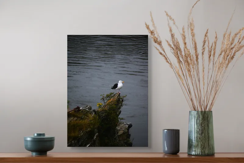 Tablou Canvas, "Pescăruș singuratic pe stânca solitară", Pescăruș, Stâncă, Apă, Vegetație, Solitudine, Natură, Seninătate, Reflecție., 39 x 54 cm – poza 3