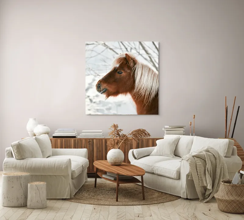 Tablou Canvas, "Ponei visând la iarnă albă", Cal, Zăpadă, Copac, Iarnă, Coamă, Blană, Natură, Frig, Peisaj, Tandrețe, 100 x 100 cm – poza 3