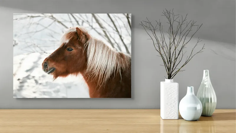 Tablou Canvas, "Ponei visând la iarnă albă", Cal, Zăpadă, Copac, Iarnă, Coamă, Blană, Natură, Frig, Peisaj, Tandrețe, 70 x 50 cm – poza 3