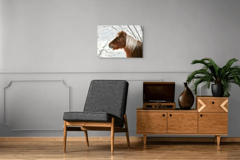 Tablou Canvas, "Ponei visând la iarnă albă", Cal, Zăpadă, Copac, Iarnă, Coamă, Blană, Natură, Frig, Peisaj, Tandrețe, 70 x 50 cm – poza 4