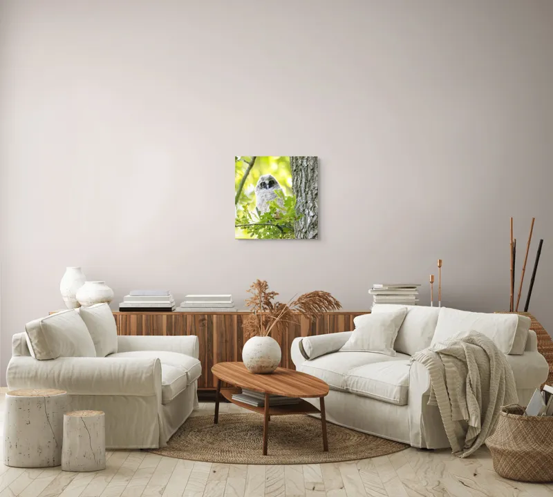 Tablou Canvas, "Bufnița tânără printre frunze verzi", Bufniță, Rânduri, Frunziș, Privire, Ramură, Trunchi, Blană, Verde, Copac, 50 x 50 cm – poza 7