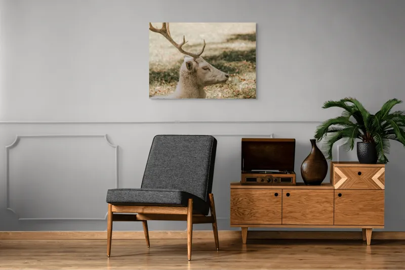 Tablou Canvas, "Cerbul alb în lumina toamnei", 100 x 70 cm – poza 8
