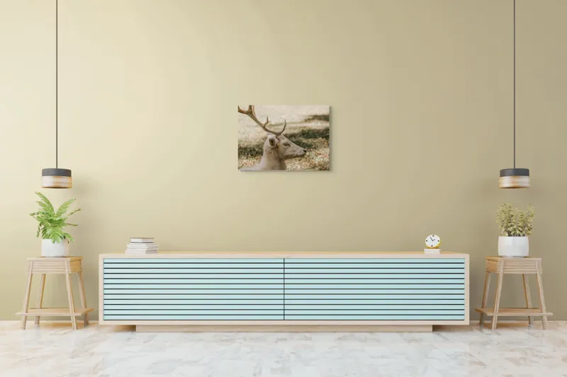 Tablou Canvas, "Cerbul alb în lumina toamnei", 70 x 50 cm – poza 7